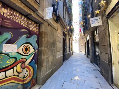 Loft te huur in Barcelona Esquirol - Princesa