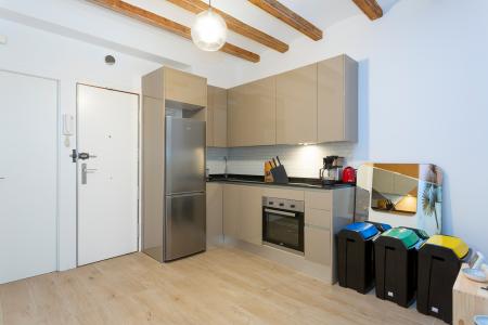Wohnung zur Miete in Barcelona Sant Rafael - Rambla Raval