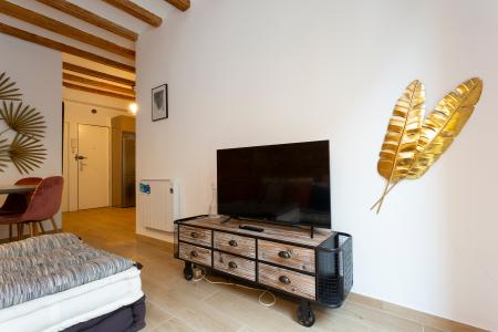 Wohnung zur Miete in Barcelona Sant Rafael - Rambla Raval