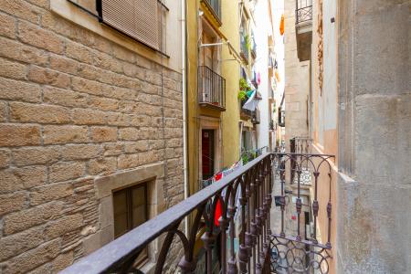 Pis en Lloguer a Barcelona Flassaders - Born