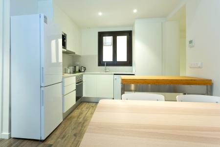 Appartamento in Affitto a Barcelona Flassaders - Born