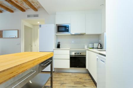 Appartamento in Affitto a Barcelona Flassaders - Born