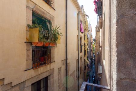 Квартира в аренду в Barcelona Flassaders - Born