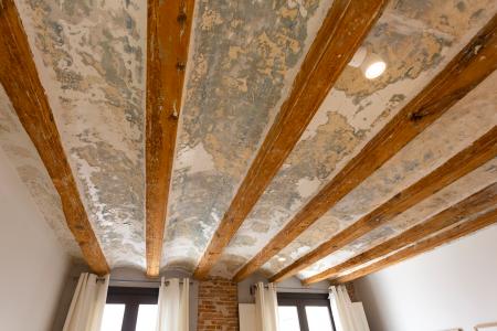 Pis en Lloguer a Barcelona Flassaders - Born