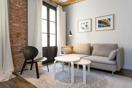 Pis en Lloguer a Barcelona Flassaders - Born