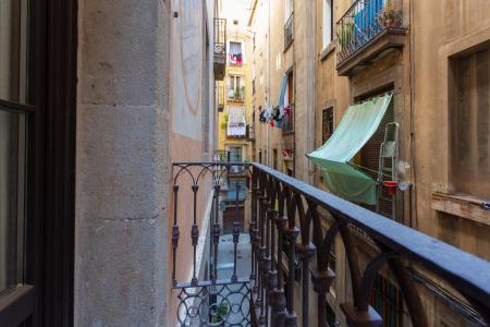 Wohnung zur Miete in Barcelona Flassaders - Born