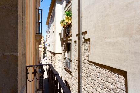 Alquiler Temporal de dos habitaciones en el Born