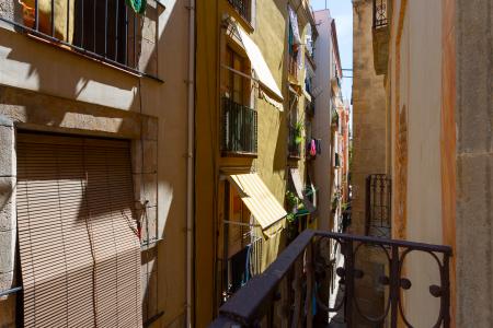 Alquiler Temporal de dos habitaciones en el Born