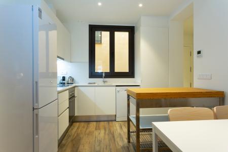 Pis en Lloguer a Barcelona Flassaders - Born