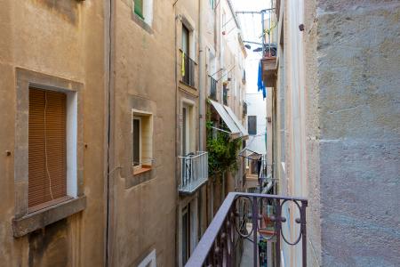 Pis en Lloguer a Barcelona Flassaders - Born