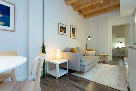 Appartamento in Affitto a Barcelona Flassaders - Born