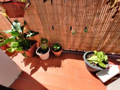 Appartement à louer à Barcelona Rogent - Aragó