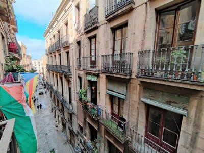 Pis en Lloguer a Barcelona Llibreteria - Plaça Sant Jaume