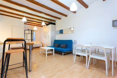 Appartement te Korte termijn huren in Barcelona Perill - Mila I Fontanals