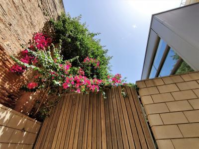 Loft for Rent in Barcelona Ausias Marc - Marina (iva Incluido)