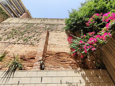 Loft for Rent in Barcelona Ausias Marc - Marina (iva Incluido)