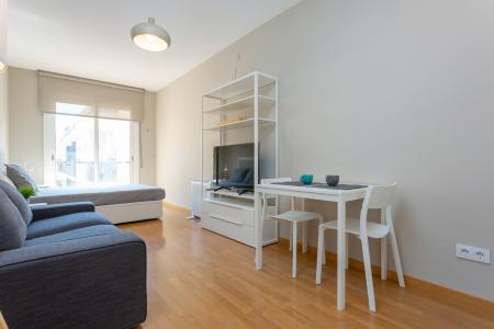 Estudi en Lloguer a Barcelona Saragossa - Padua