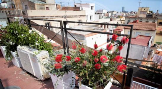 Loft en Lloguer a Barcelona Sant Pere Mitjà - Argenter