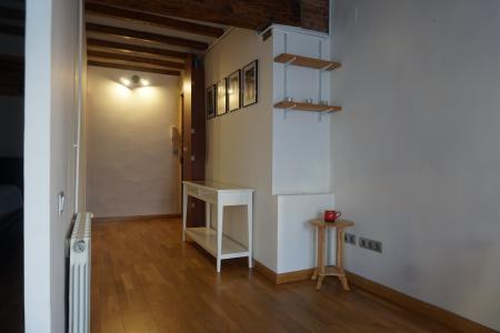 Apartment for Rent in Barcelona Roser - Blai
