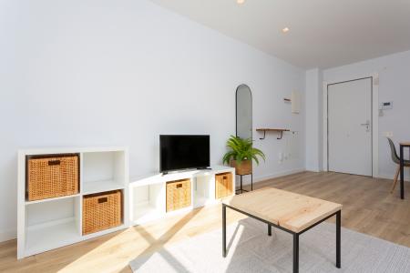 Pis en Lloguer a Barcelona Camelies - Escorial (10 Months Minimum)