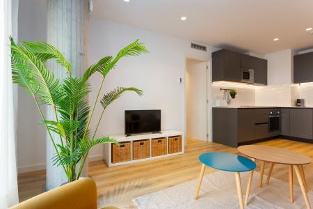 Pis en Lloguer a Barcelona Camelies - Escorial (10 Months Minimum)