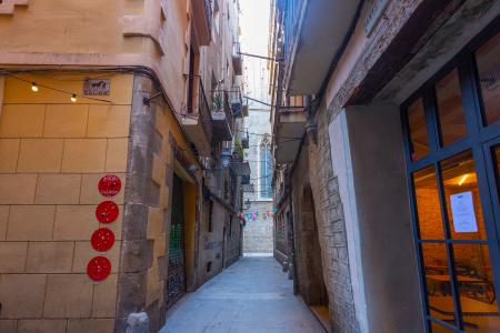 Pis en Lloguer a Barcelona Sombrerers - Santa Maria Mar