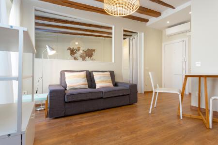 Piso de 1 habitación coqueto totalmente amueblado