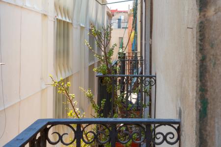 Appartamento in Affitto a Barcelona Rull - Port Vell