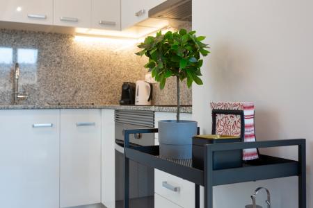 Wohnung zur Miete in Barcelona Villarroel - Paris