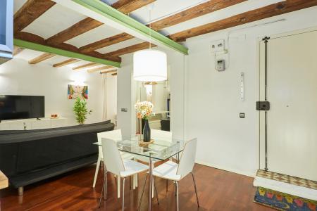 Loft en alquiler temporal en el centro de Barcelona