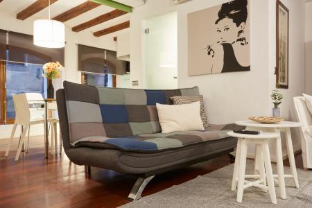 Loft en alquiler temporal en el centro de Barcelona