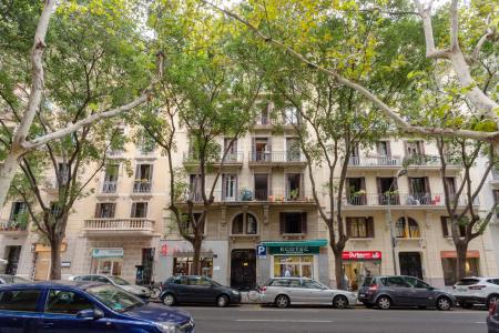 Acogedor piso de alquiler en l'Eixample