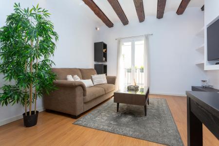 Wohnung zur Miete in Barcelona La Merce - Via Laietana