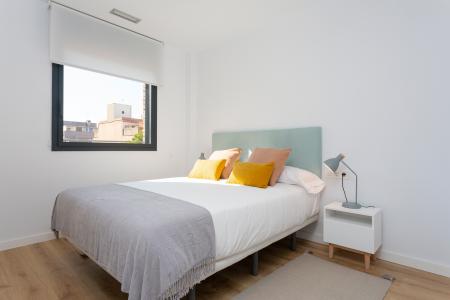 Pis en Lloguer a Barcelona Camelies - Escorial (10 Months Minimum)