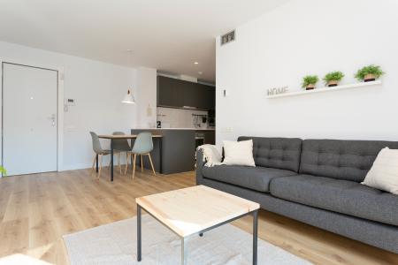 Pis en Lloguer a Barcelona Camelies - Escorial (10 Months Minimum)