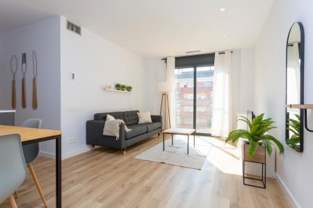 Pis en Lloguer a Barcelona Camelies - Escorial (10 Months Minimum)