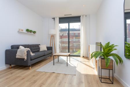 Pis en Lloguer a Barcelona Camelies - Escorial (10 Months Minimum)