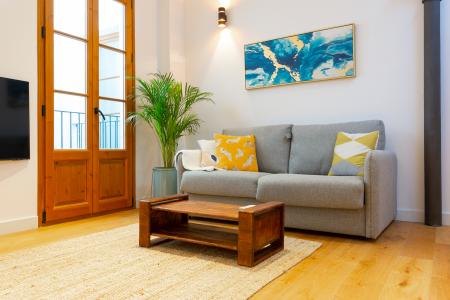 Pis en Lloguer a Barcelona Candeles - Mercat St Caterina (limpieza 2x Al Mes)