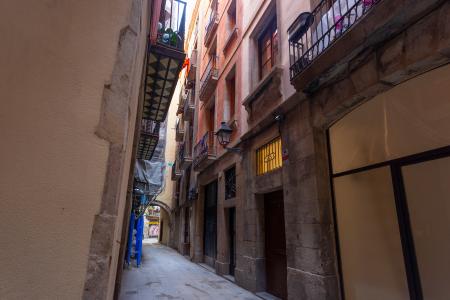 Pis en Lloguer a Barcelona Candeles - Mercat St Caterina (limpieza 2x Al Mes)