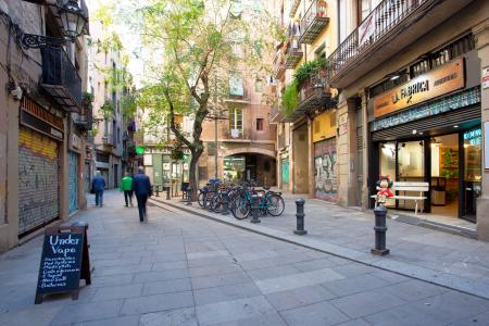 Pis en Lloguer a Barcelona Candeles - Mercat St Caterina (limpieza 2x Al Mes)