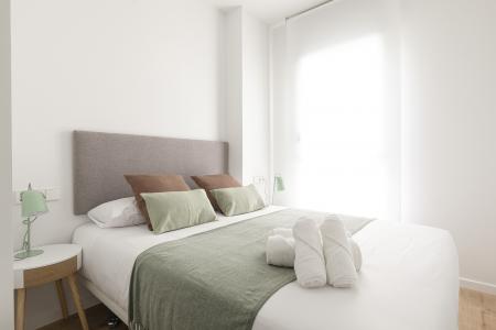 Appartamento in Affitto a Barcelona Passatge De Saladrigas - Bilbao (10 Months Min)