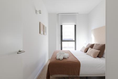 Appartamento in Affitto a Barcelona Passatge De Saladrigas - Bilbao (10 Months Min)