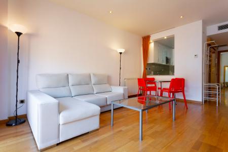 Appartement te huur in Barcelona Joan Miró - Villa Olimpica (parking Opcional)