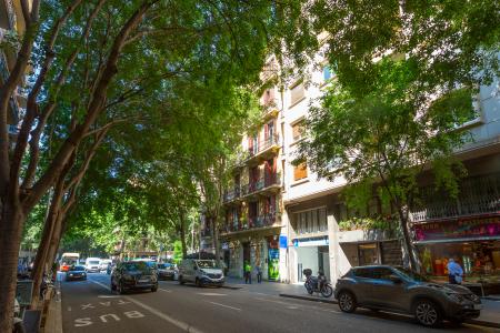 Piso en Alquiler en Barcelona Floridablanca - Comte Borrell