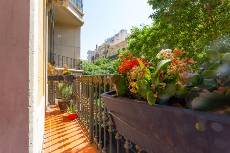 Piso en Alquiler en Barcelona Floridablanca - Comte Borrell