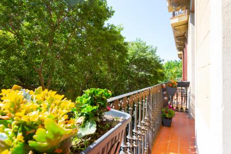 Piso en Alquiler en Barcelona Floridablanca - Comte Borrell