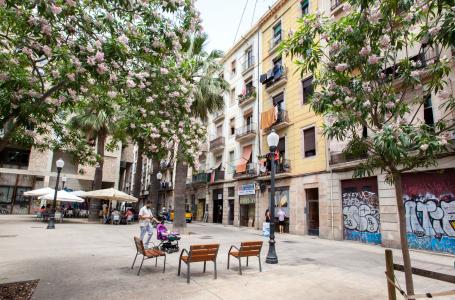 Apartment for Rent in Barcelona Drassanes - Nou De La Rambla