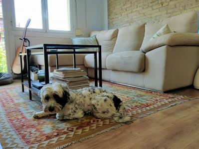 Appartement te huur in Barcelona Bailèn - Indústria