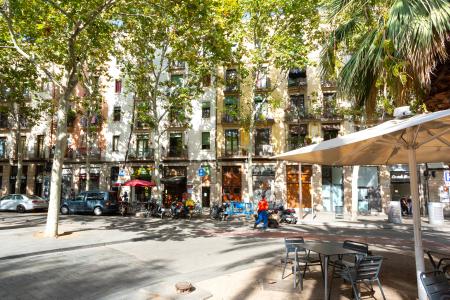 Wohnung zur Miete in Barcelona Rambla Del Raval - Sant Oleguer