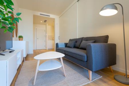 Wohnung zur Miete in Barcelona Pg Sant Joan - Ausias March (10 Months Minimum)